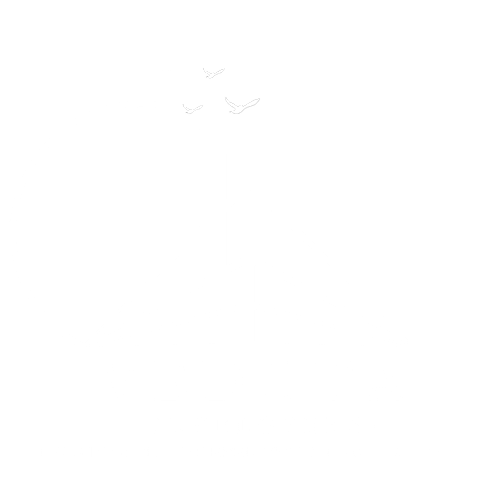 Best Real Estate Builders in Noida